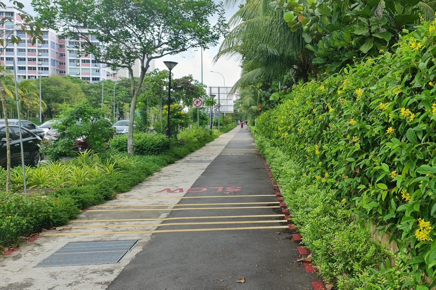 A path with "SLOW" written near yellow speed stripes, greenery on both sides, and cars parked to the left.